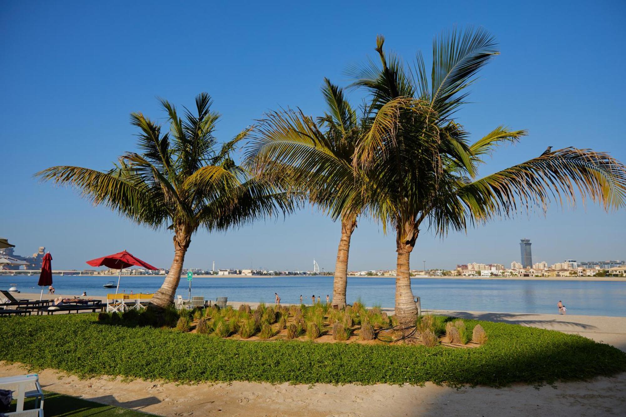 The 8, Palm Jumeirah, Serene Bay *